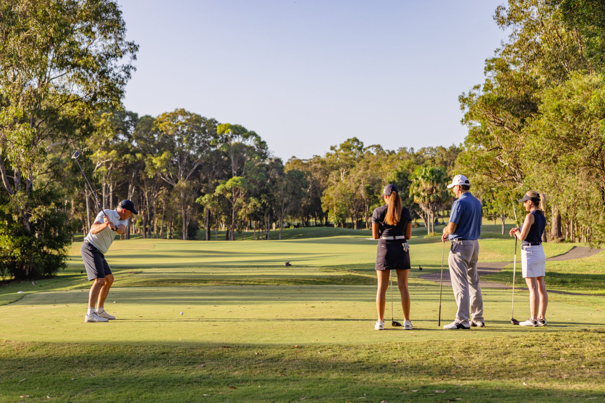 Golf Course 10