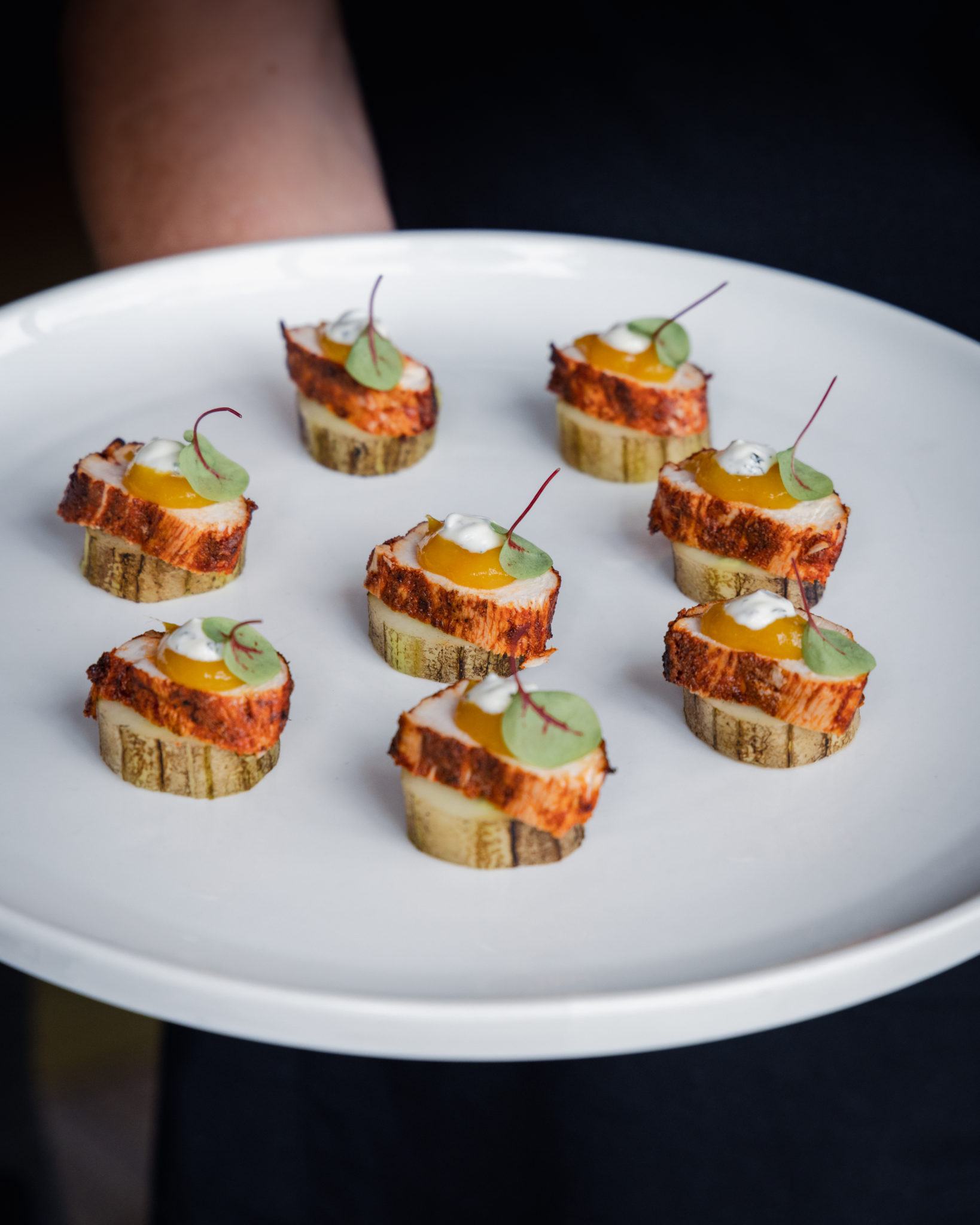 Canapes Tandoori Chciken 1