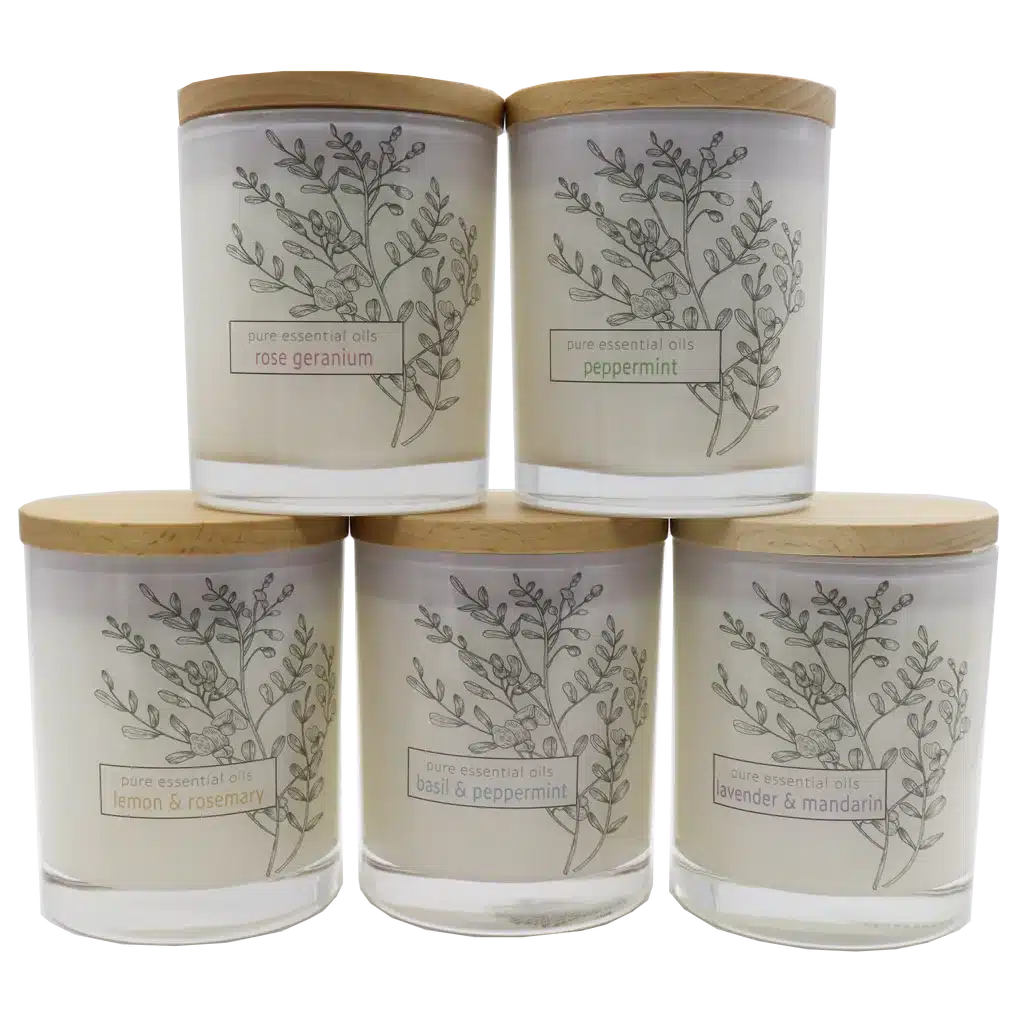 Branch Group 87623886 F187 480b 91a8 55083585eae3 1024x1024